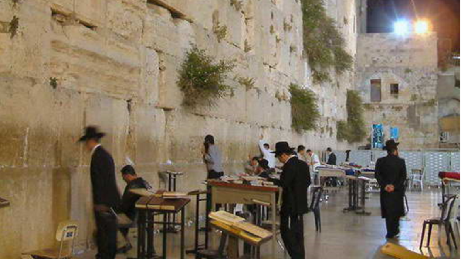 גגגגגג (Small)