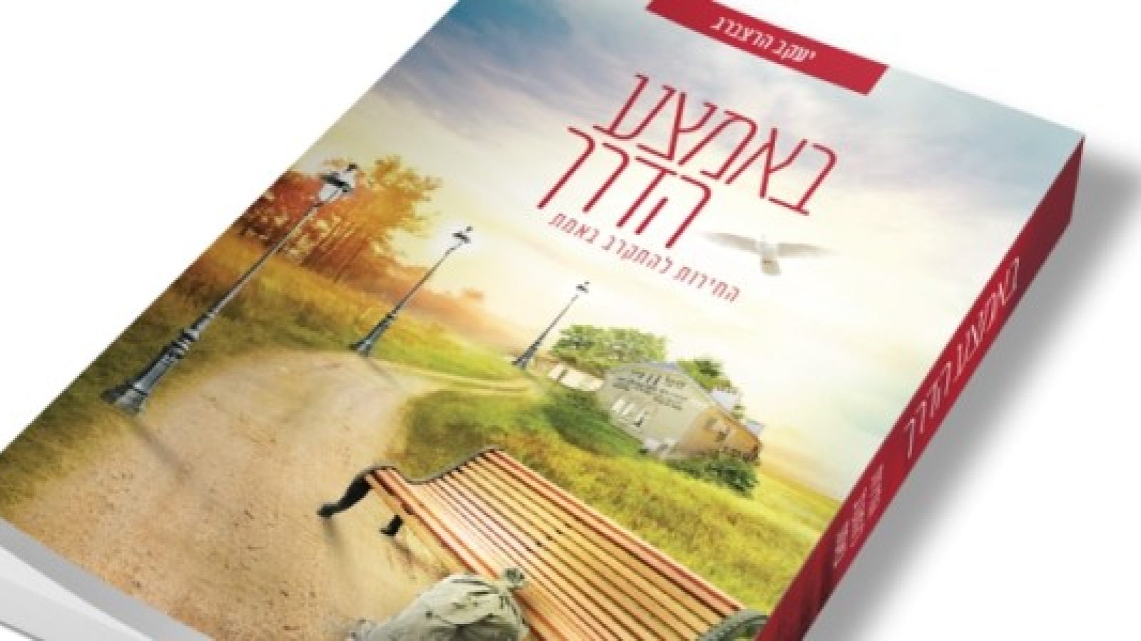 גרפיקה-כריכה-סופי2-620x300