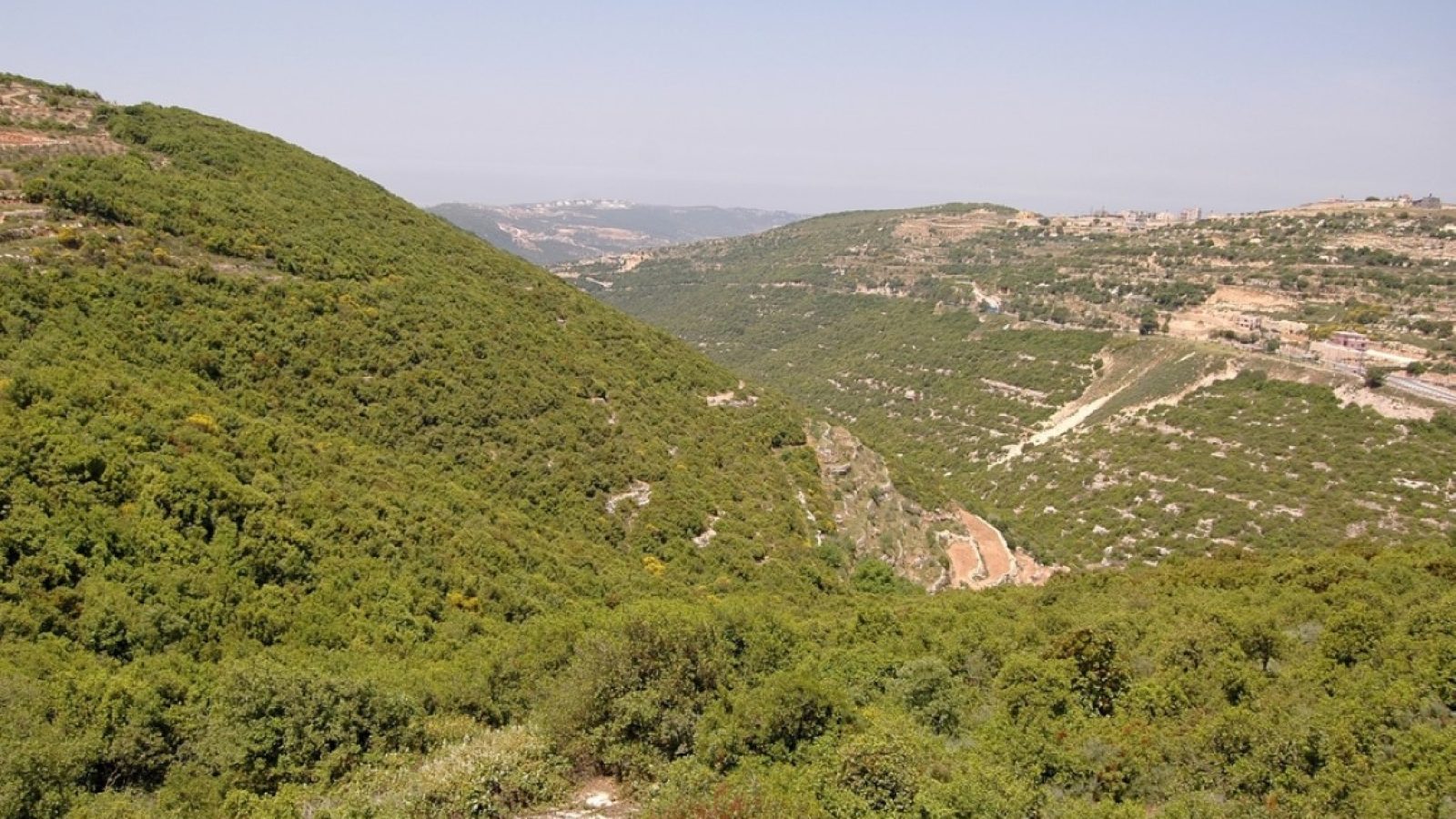 Upper,Galilee,As,Seen,From,The,Beit,Jann,Village,On