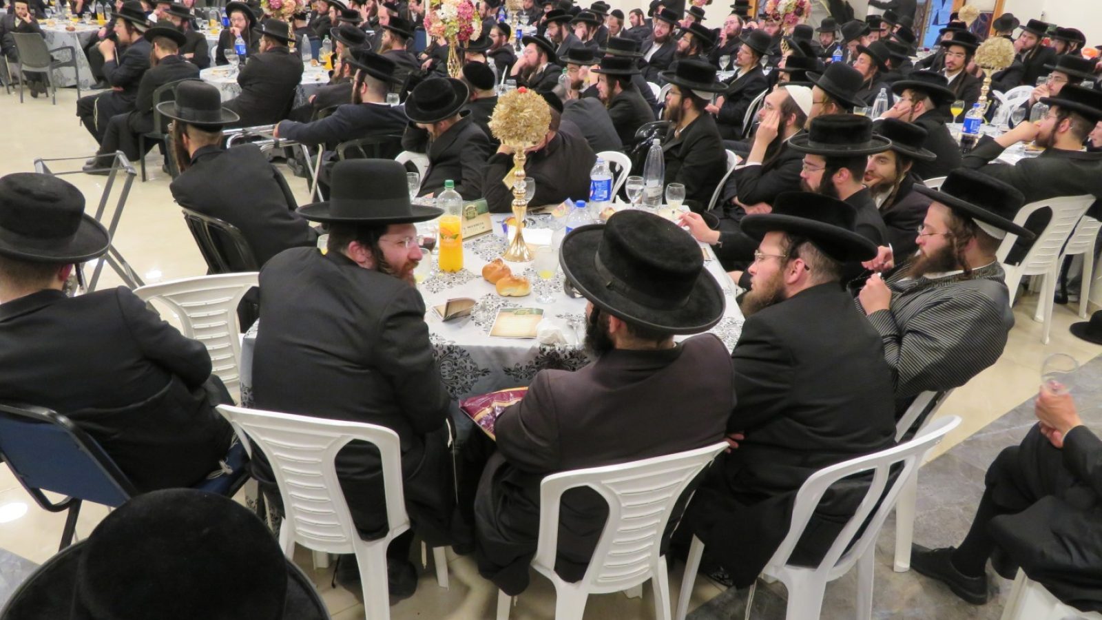 IMG_2375 (גדול)